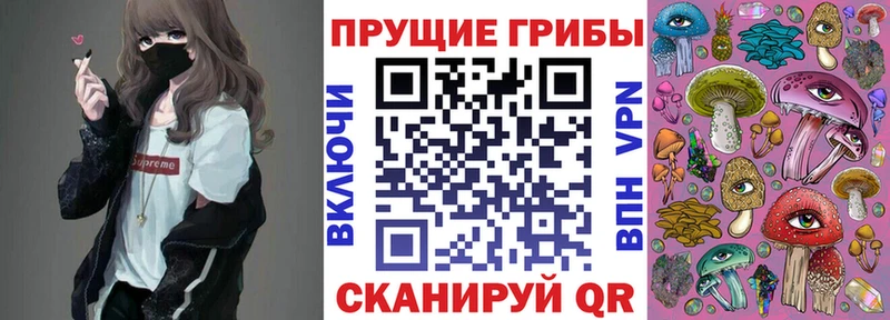 Галлюциногенные грибы Psilocybine cubensis  купить наркотики цена  Невьянск 