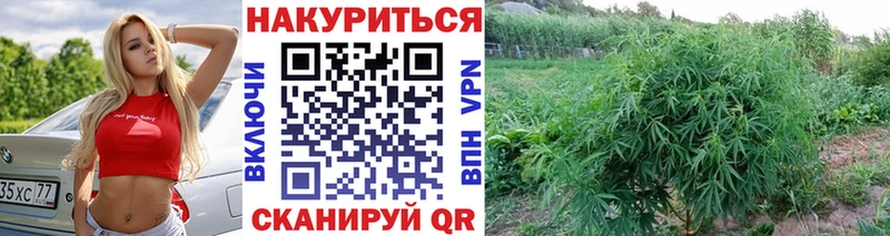 МАРИХУАНА Ganja  где продают   Невьянск 